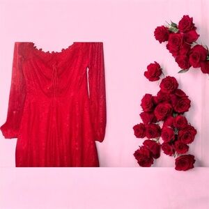 Double Crazy Elegant Red Lace Dress NWOT